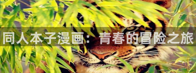 香蕉漫画h：同人本子漫画：青春的冒险之旅