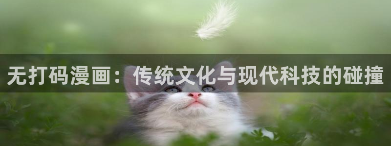 香蕉漫画书免费阅读下拉：无打码漫画：传统文化与现代科技的碰撞