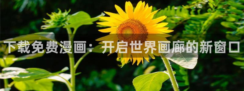 香蕉漫画sss：下载免费漫画：开启世界画廊的新窗口